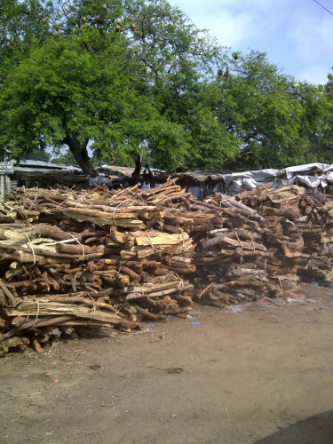 Nigeria, livelihoods, deforestation