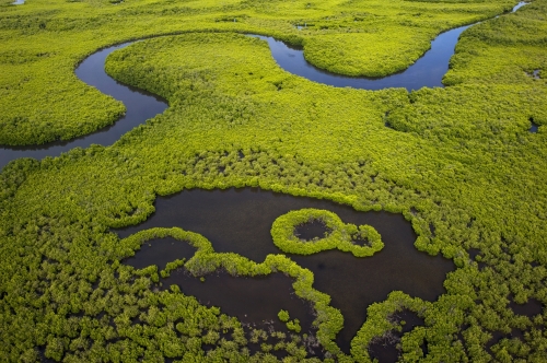 1 Vue aérienne mangrove et delta.jpg
