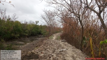Amphan cyclone mangroves embankments bio-shield