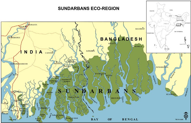 Sundarbans India